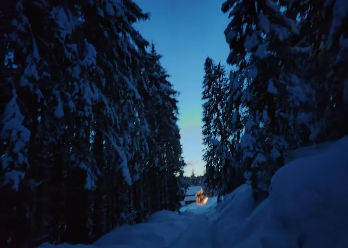 Bed & Breakfast Chalet Tabiarel *