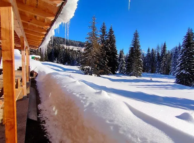 Bed & Breakfast Chalet Tabiarel *