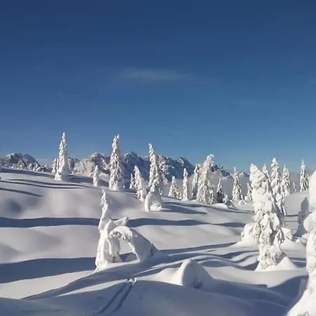 Chalet Tabiarel לינה וארוחת בוקר *