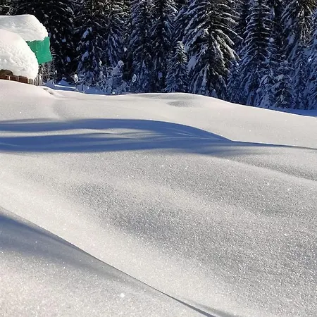 Chalet Tabiarel Bed & Breakfast *