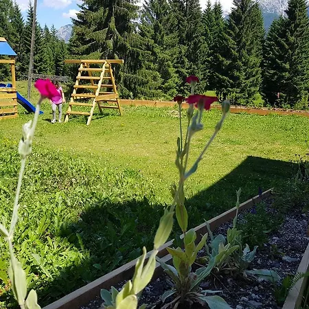 Chalet Tabiarel Danta