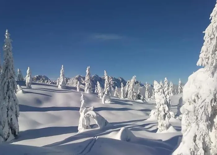 Chalet Tabiarel 住宿加早餐酒店 *